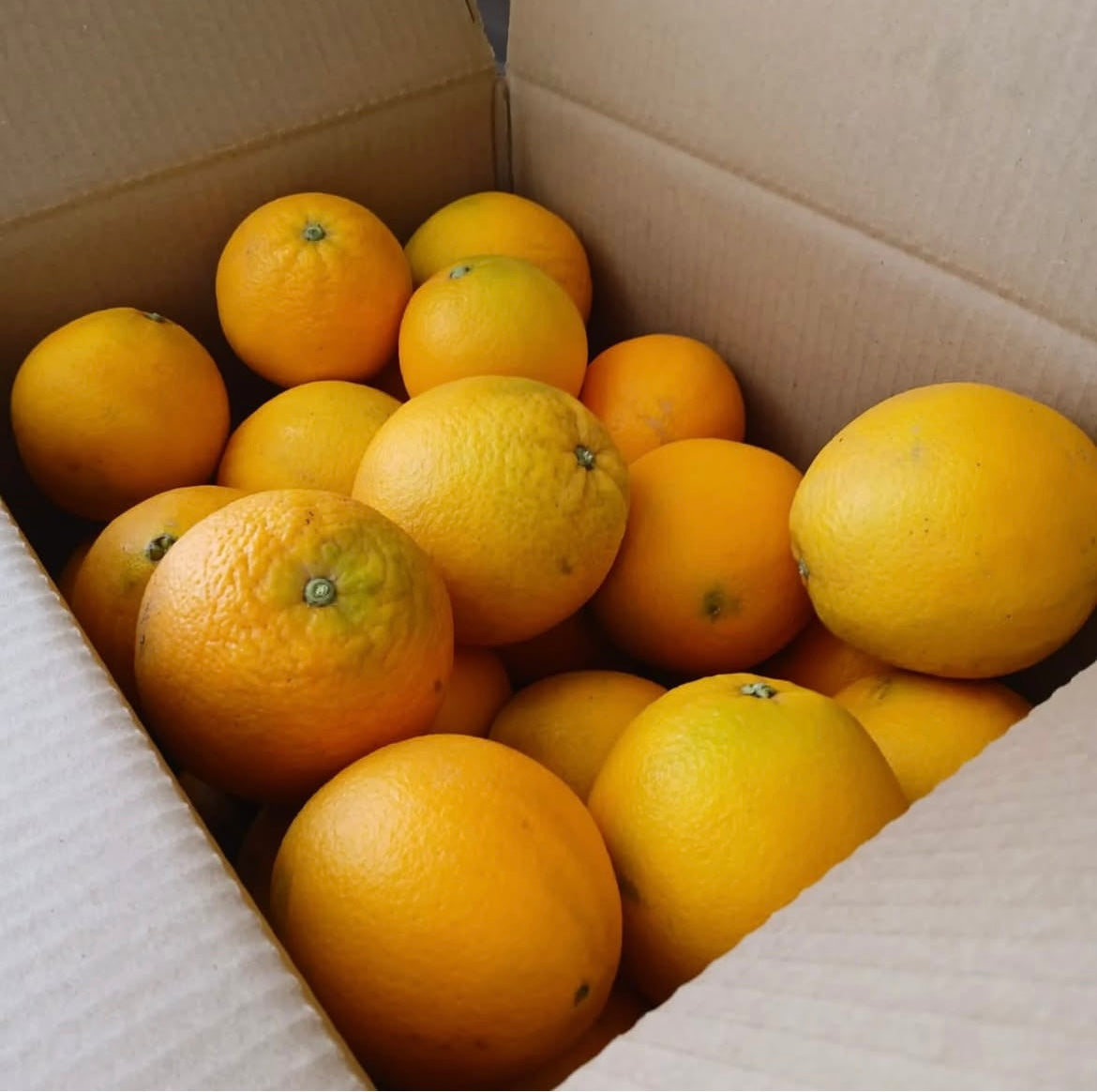 Naranja