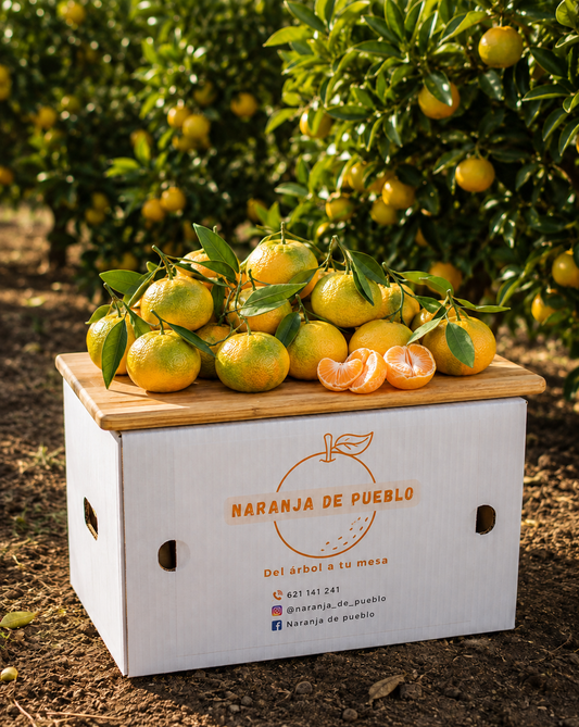 Mandarina Satsuma