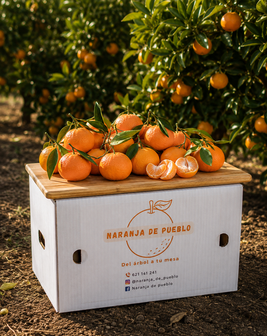 Mandarinas