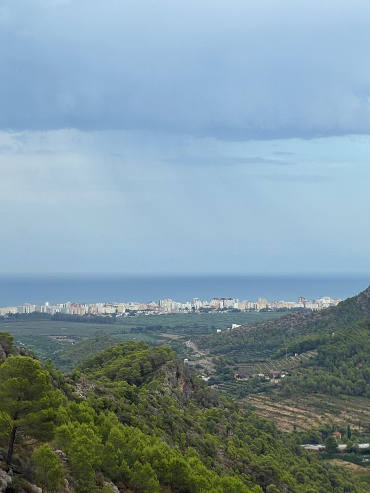 Naranja de Pueblo · el campo
